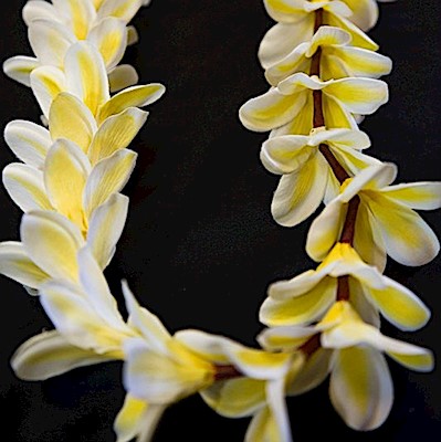 Yellow or Pink Plumeria Lei  - "Real Looking"                              
